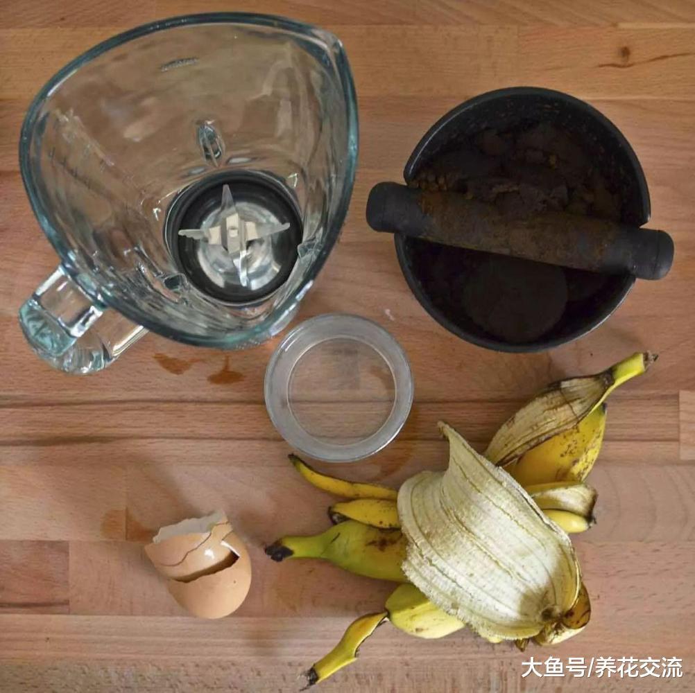 这5种生活的废弃物都可以制作成很好的肥料, 不用花钱买