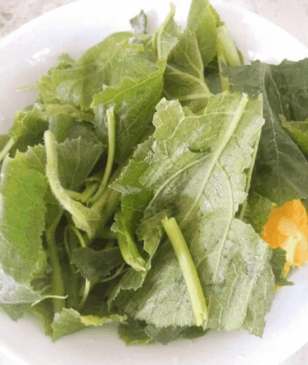 “地瓜叶”好处多, 简单好吃又开胃, 回家揪一把尝尝
