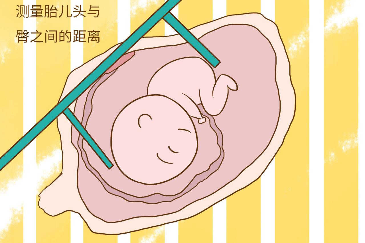 胎宝宝的第一次亮相你能看懂吗? 2分钟教你看B超单