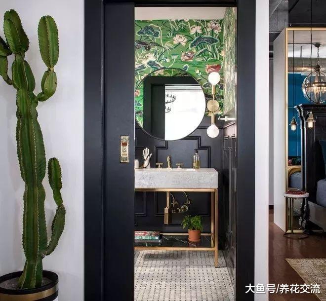 摆在家里两三米高逼格的仙人掌盆栽, 现代家居的“宠儿”