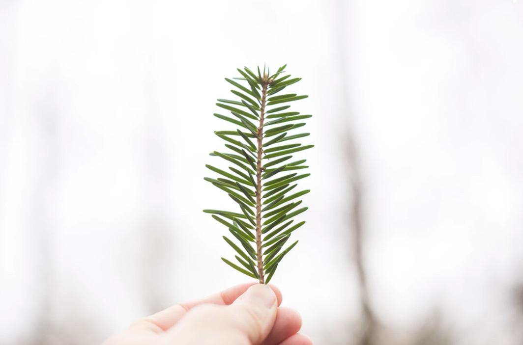 朱雨辰母亲: “我没有自我, 我是用生命对待儿子的! ”