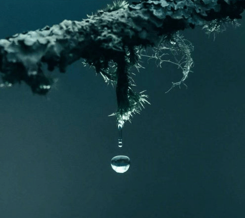 昨天接了个电话，问我买不买房子