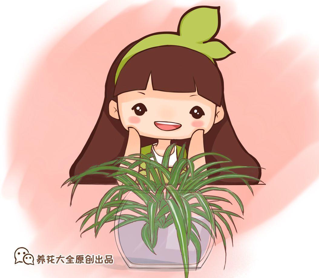 水培的绿萝, 注意这几点, 整个冬天绿油油!