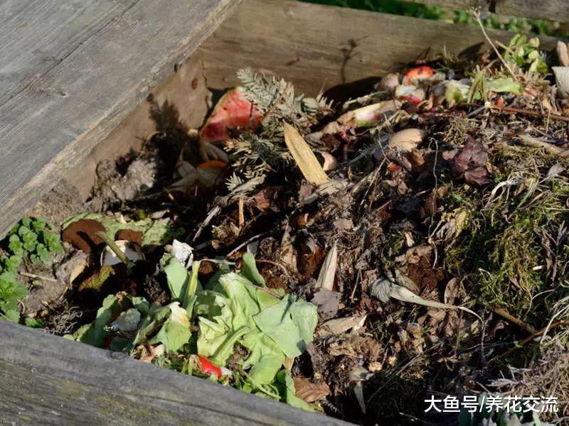 5种非常实用的园艺养花创意, 自己在家DIY肥料和驱虫剂