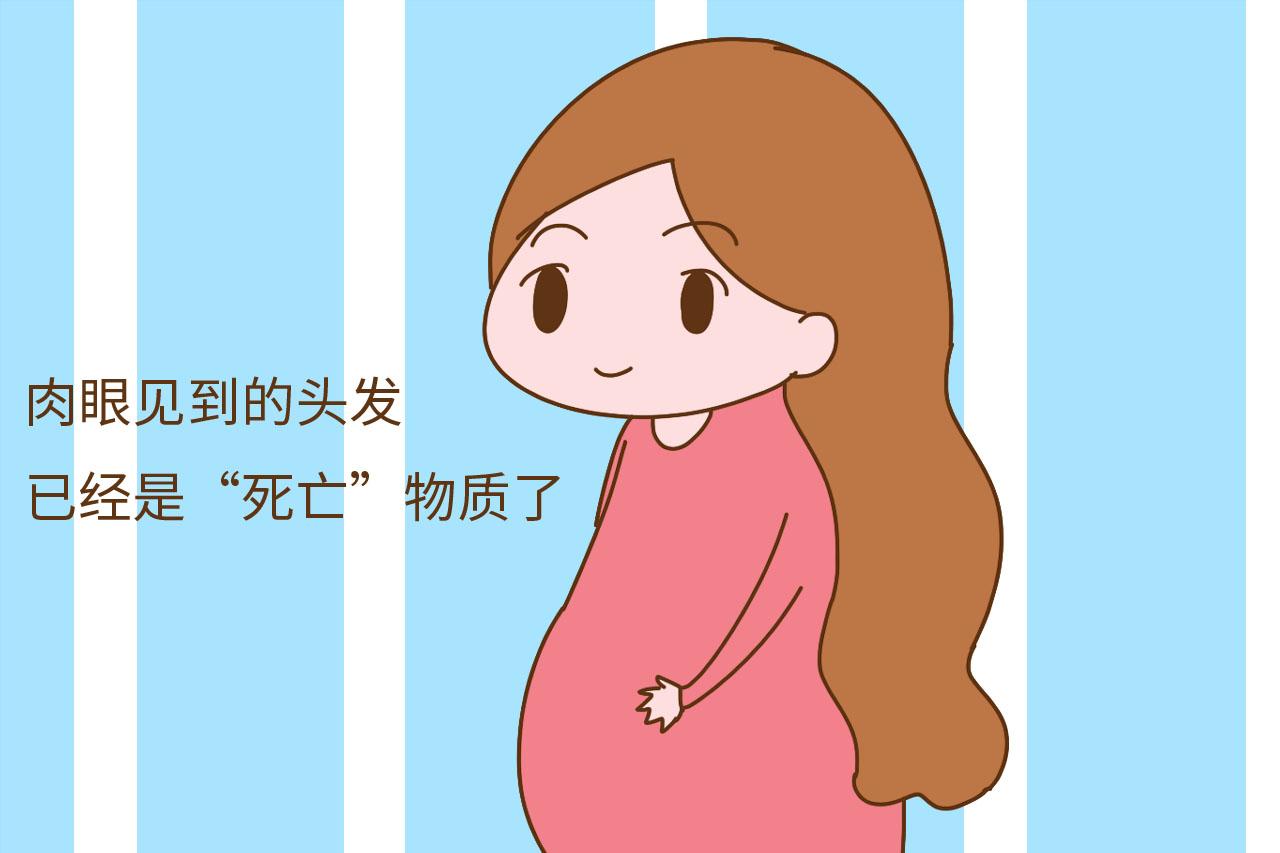 怀孕变美要谨慎, 是剪短发还是烫染, 这些事情要知道