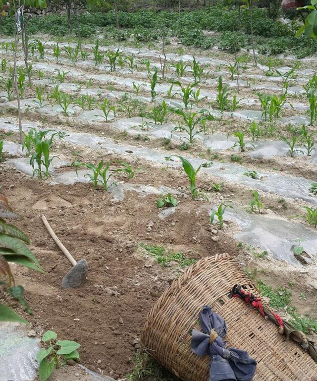 农村70岁光棍老人隐住深山, 一天一餐过午不食, 称为了找回真我
