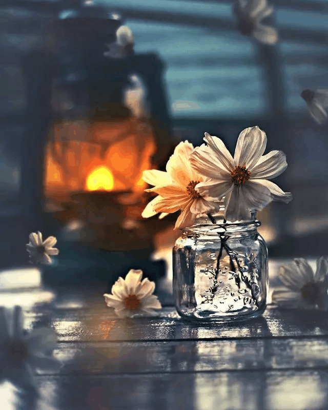 短一点有内涵的句子, 最新个性签名