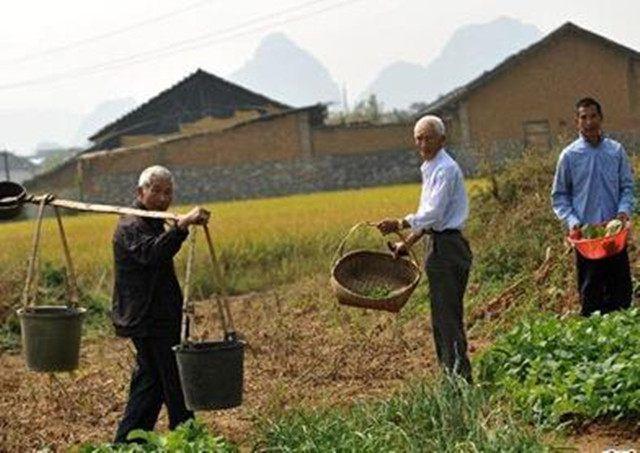长寿的男人, 都有这6个习惯! 符合越多越容易长寿, 你符合几个?