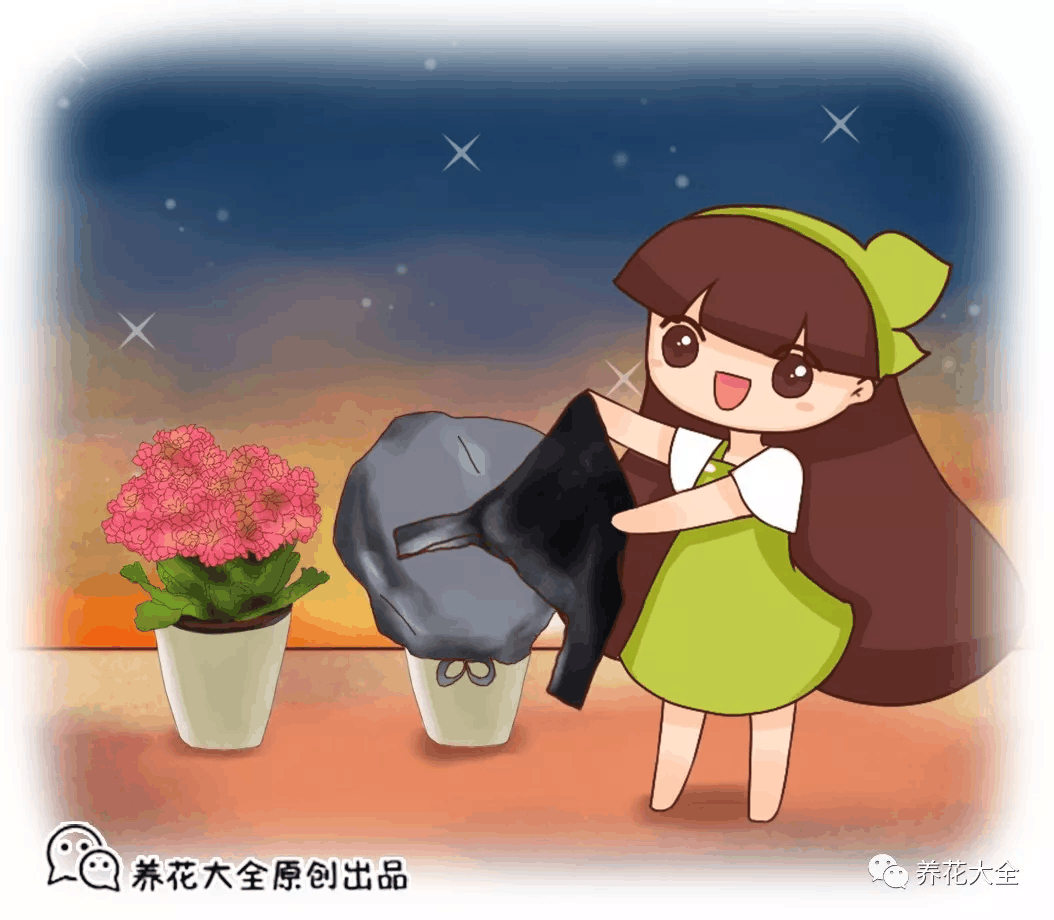 花友在家自制花肥, 最后炸了一阳台!