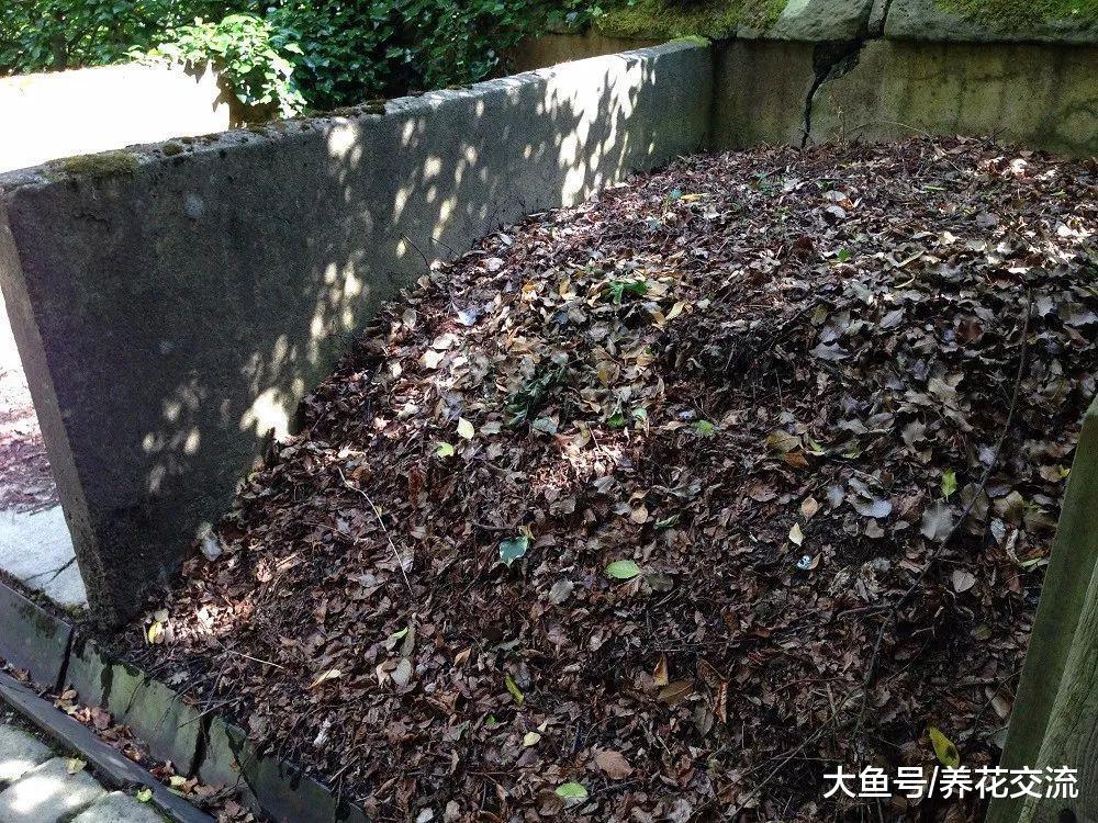 只需要挖一个坑就能制作堆肥, 等几个月就能得到健康的肥土