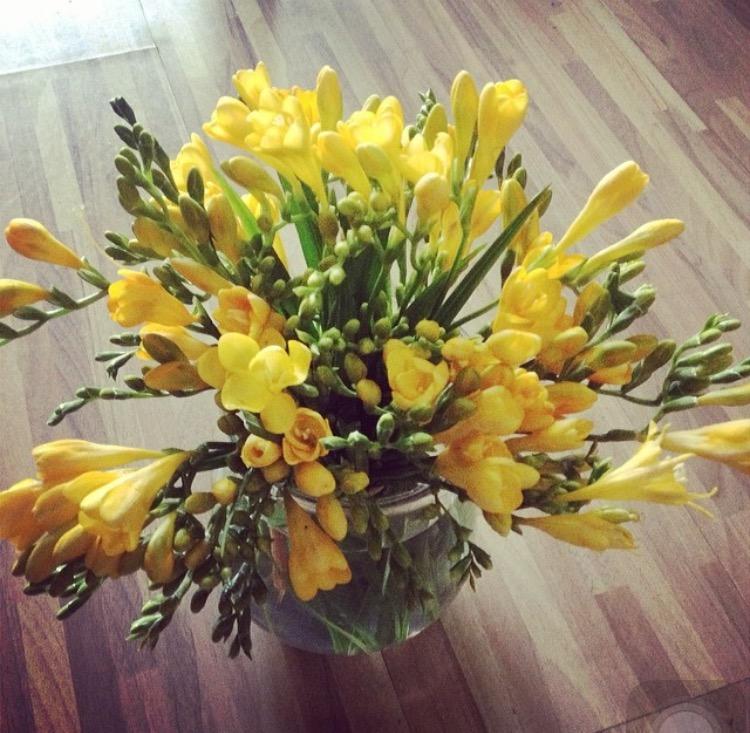 这种花长出来的时候像大蒜, 冬季开花后又香又艳, 比兰花好养100倍