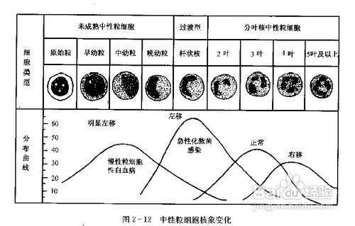 各期孕酮与HCG正常值, 建议收藏 !