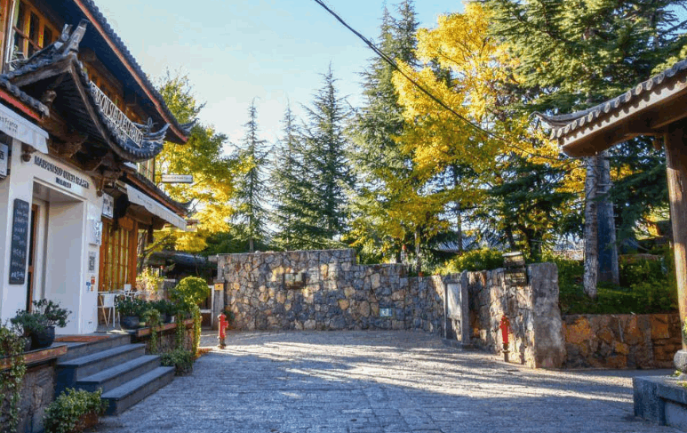 曾经中国最令人向往的丽江, 如今为何街上游客稀少, 店铺门可罗雀?