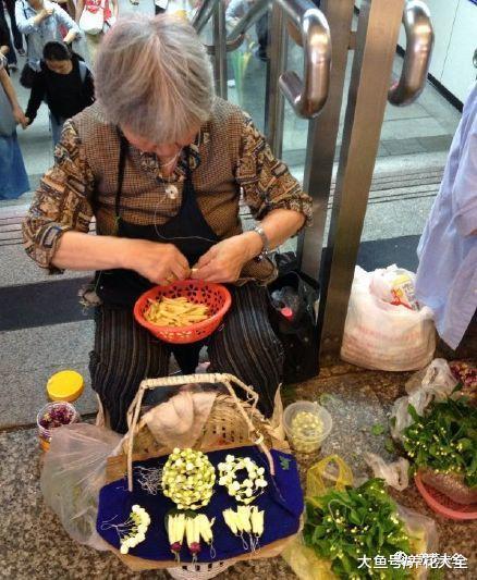 种一棵白兰花, 简单养养就开花, 满屋都是香飘飘!