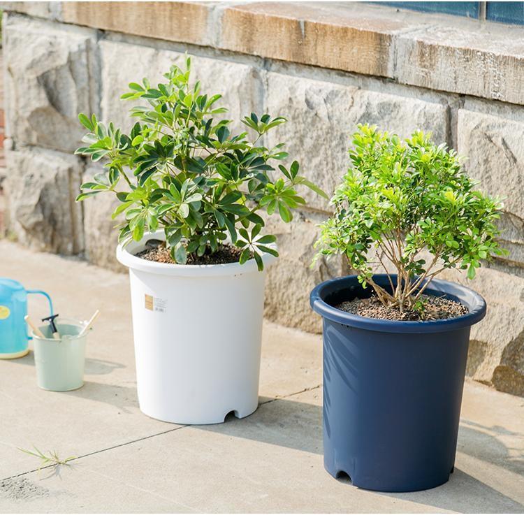 养花小心用错盆, 怎么养都不活, 怪不得你是养花杀手!