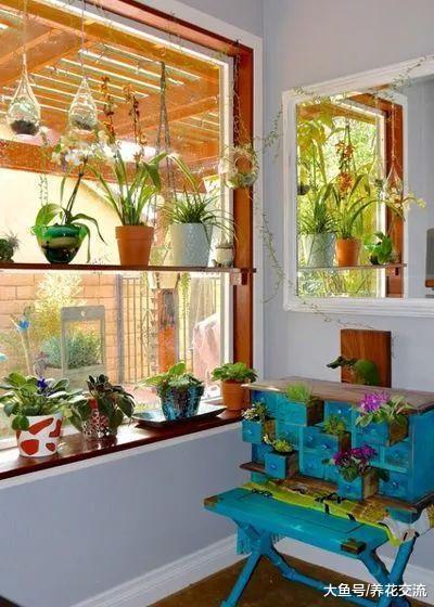 花友们在窗台边布置的小植物园, 小空间也能栽种很多盆栽