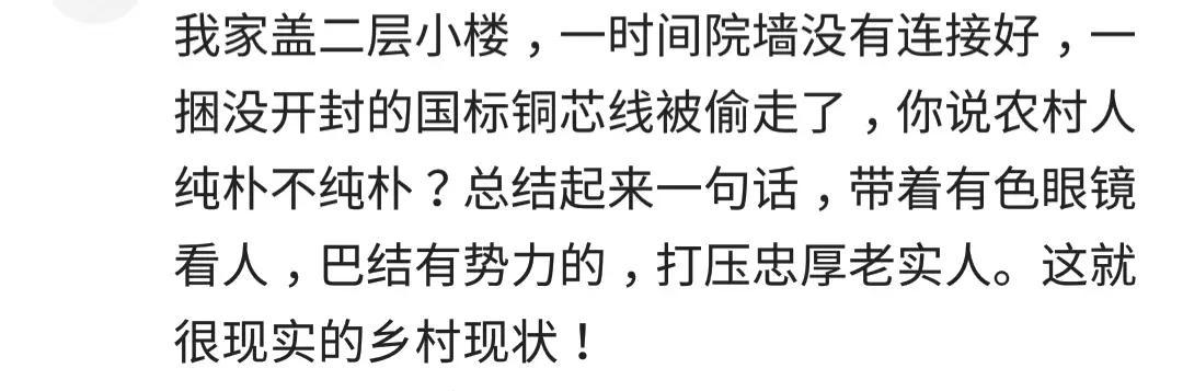 农村人真的很淳朴吗? 网友: 城里人虽然缺点人情味, 但也清净