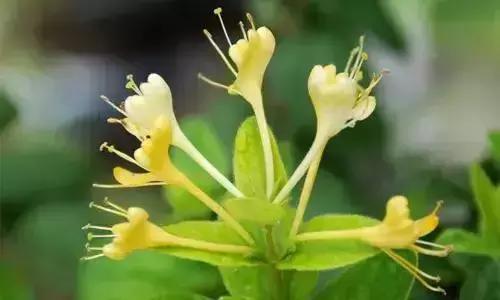 忽悠人的9种常见病, 名字听着吓人, 实际不用花钱都能好!