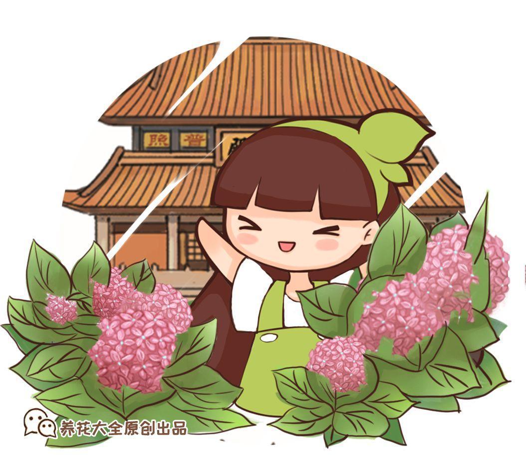 这些地方的古树名花, 一活就是几百年, 随便一张照片比画还美!