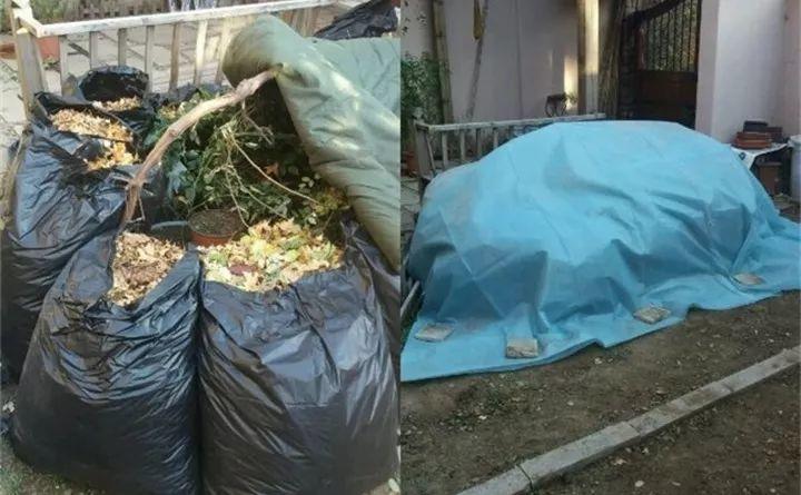 气温骤降, 他给花穿了3层棉袄, -28℃都冻不死!