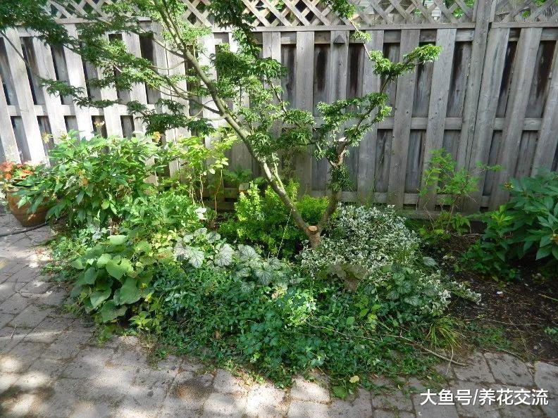院子角落的园艺改造前后对比, 变成一个花卉、蔬菜园