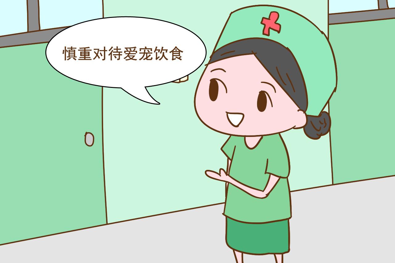 辟谣: 孕期养宠物会造成胎儿畸形? 伊能静挺着大肚子表示不服