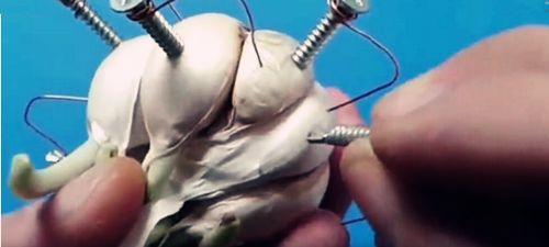 男子把大蒜插满钉子给手机充电, 得知真相后, 众人鼓掌叫好!
