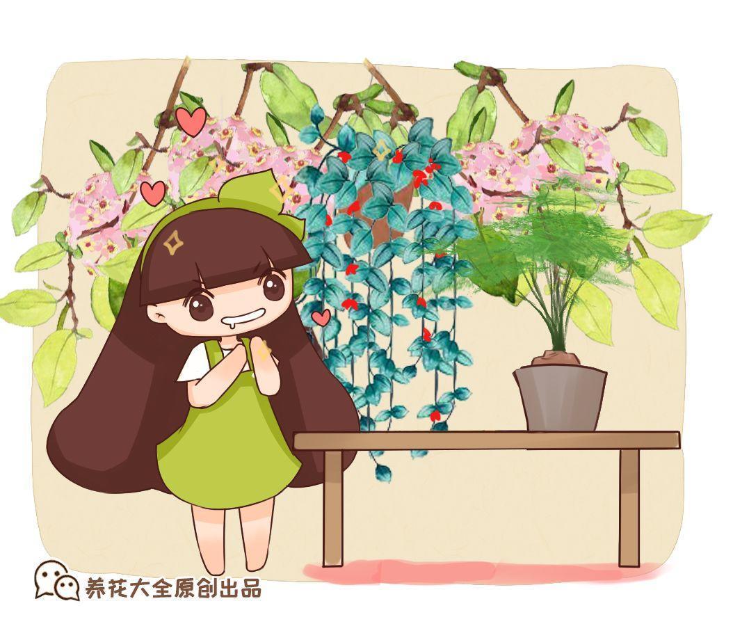 这8种花嗖嗖长, 2个月就爬墙, 甲醛和二手烟不再有!