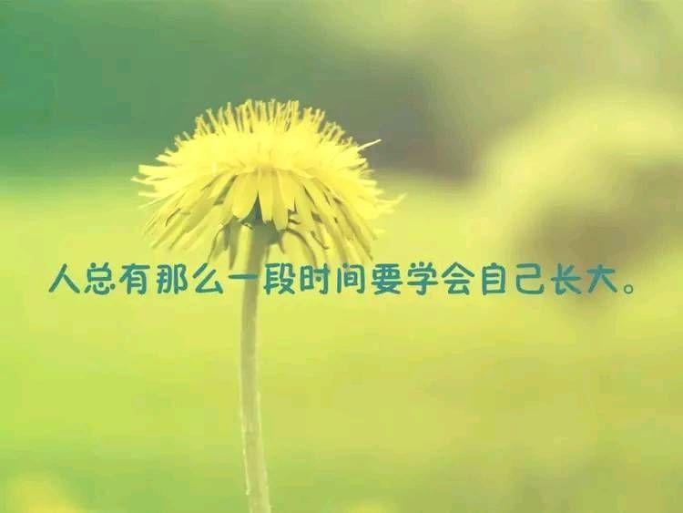 2019年正能量心情说说, 句句激励, 看完让你斗志昂扬