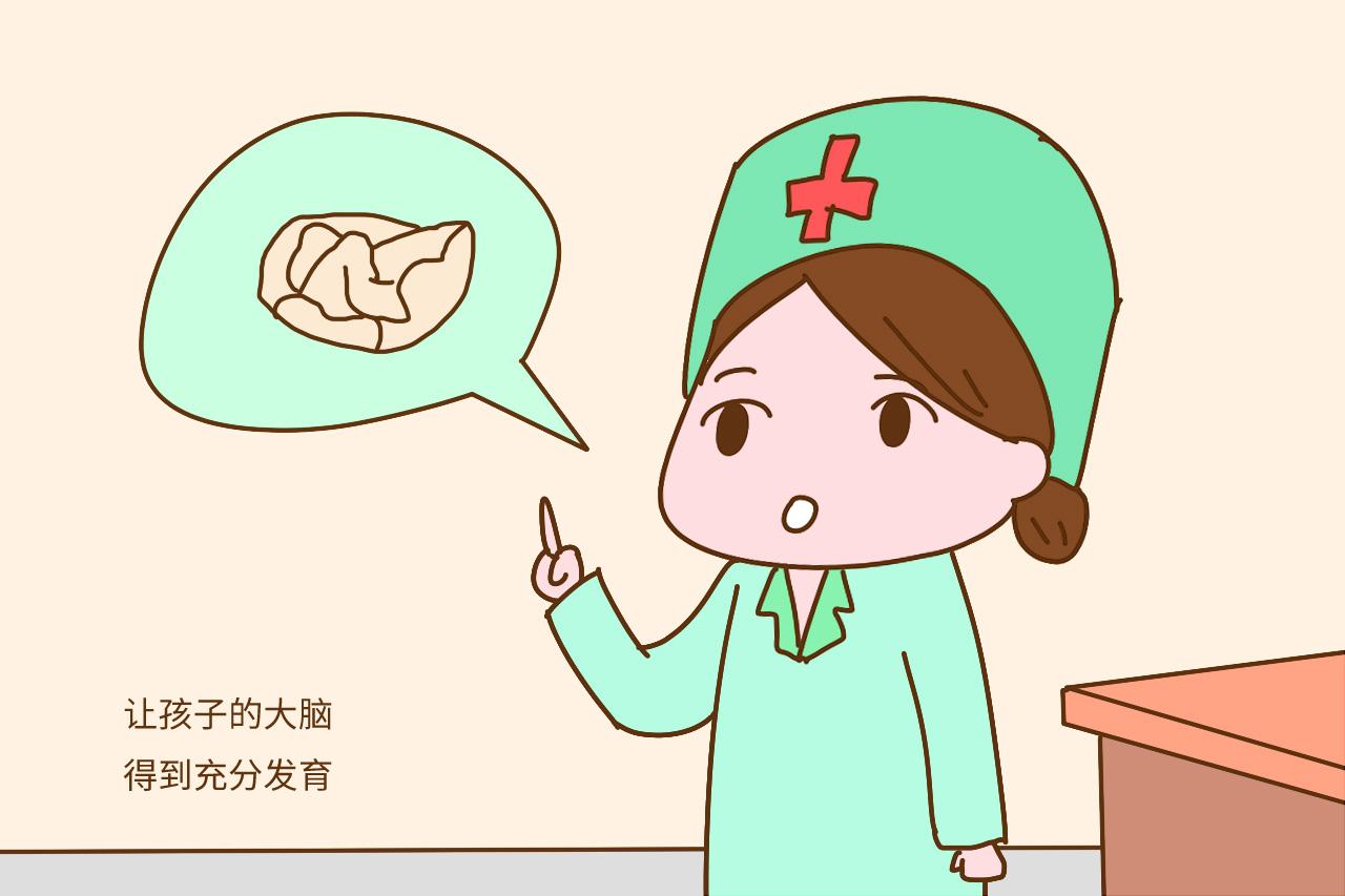 这段时间是大脑发育的最佳时期, 只要把握好, 孩子的智商低不了