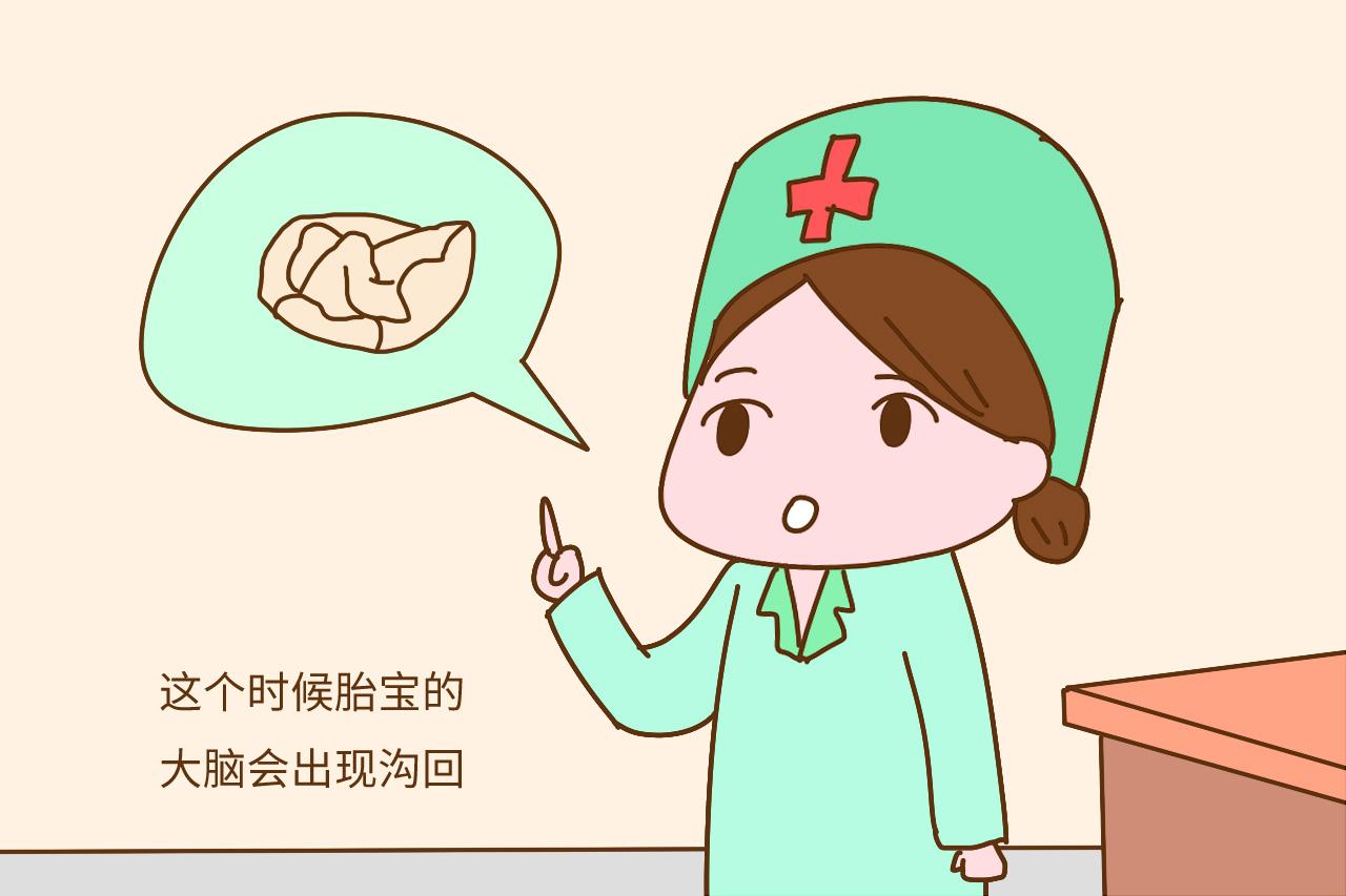 孕期补充营养轻视这两个时间段, 孕妈会变胖, 胎宝也会发育不好