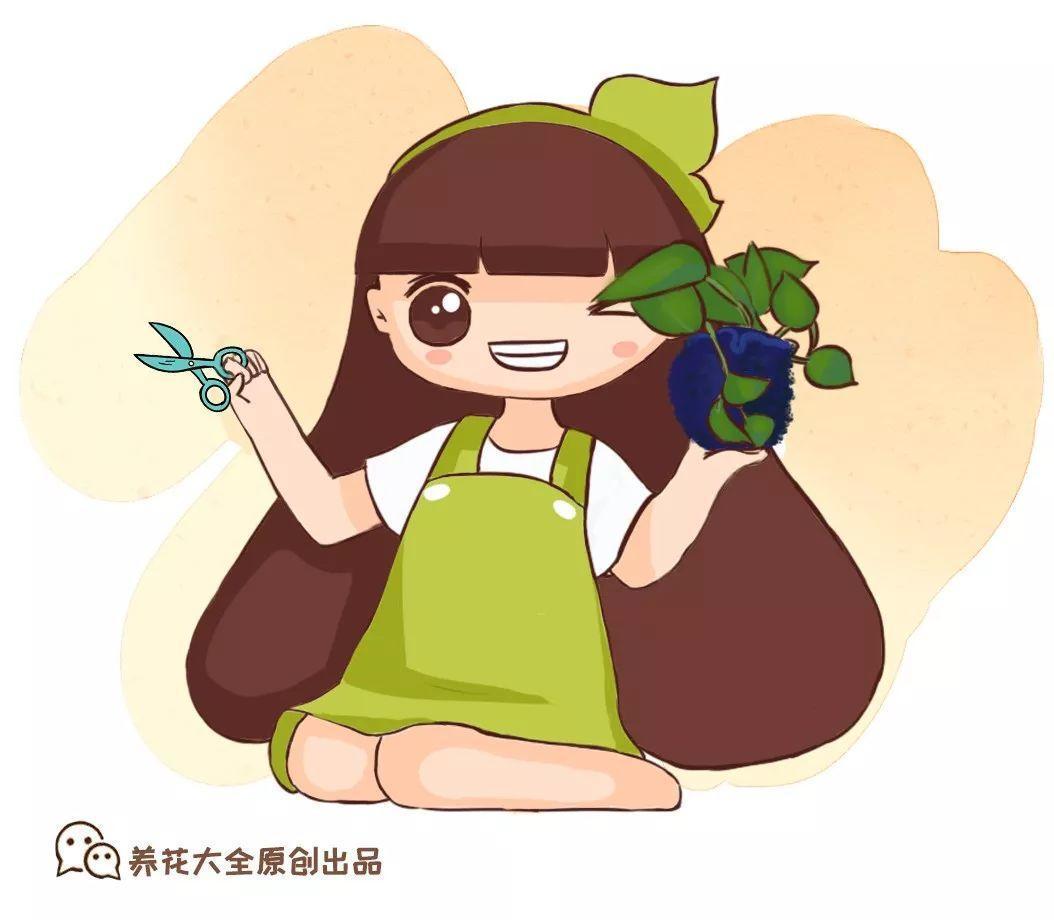 1条旧毛巾, 绿萝5天长出大白根, 嗖嗖蹿满盆!