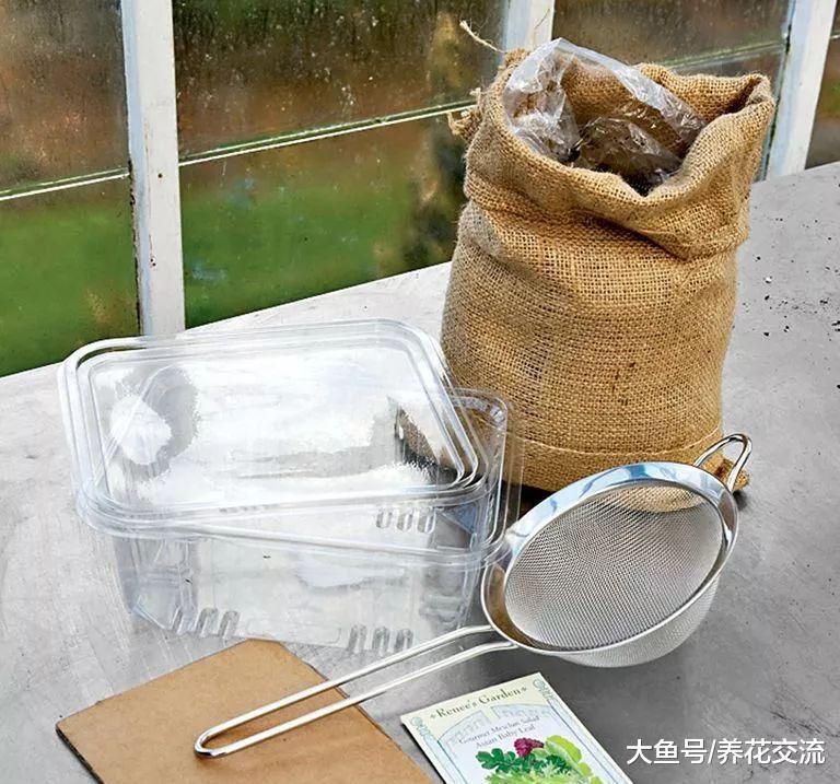 在室内用花盆种出微型蔬菜, 比豆芽和香草植物还好养