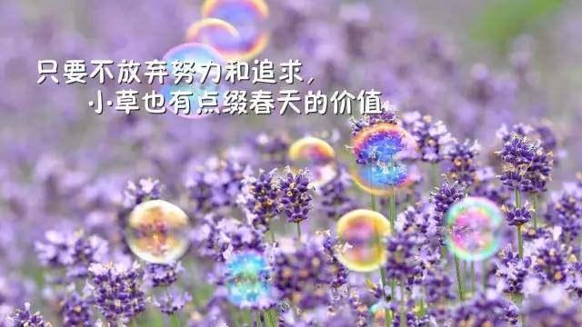心灵鸡汤励志经典语录, 拿去发朋友圈吧!