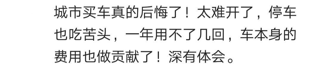 买完车就后悔了? 网友: 买得起却养不起呀