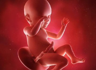 孕妈饿了的时候, 胎宝宝在干什么呢? 答案如此有趣