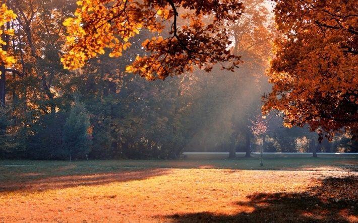 你能看懂这十句话, 本身就是一种强大