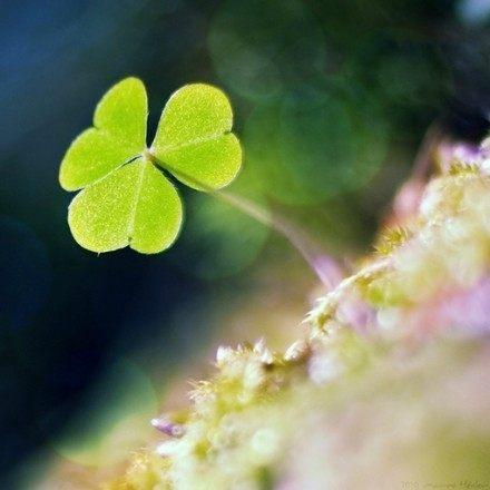 2018微信最火的说说, 句句吸引人, 刷爆朋友圈!
