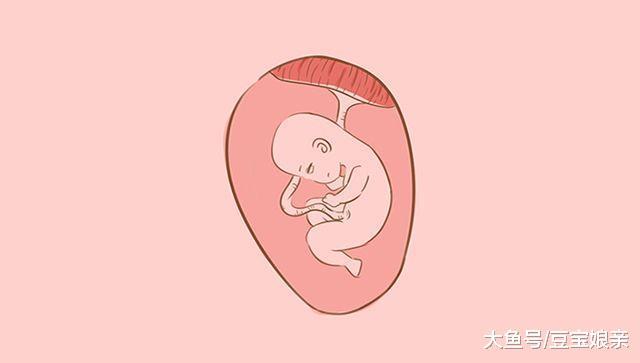 如何辨别胎儿性别, 四维彩超教你解读