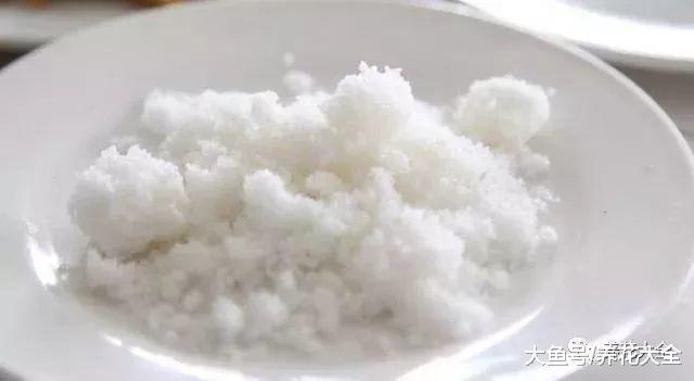 生根剂不用买, 只需2分钟在家就能做, 大白根呼呼长!