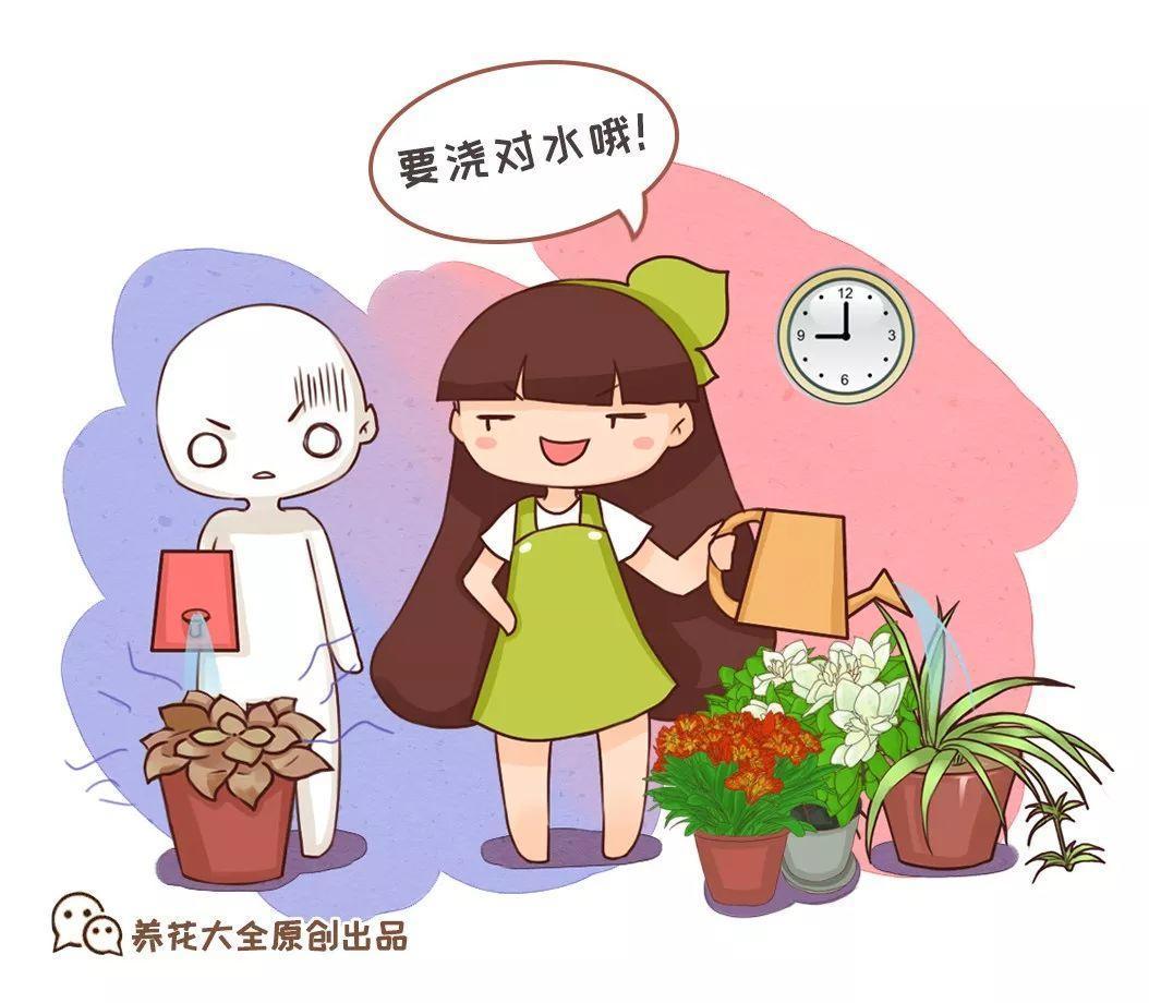 28种常见花, 冬天这样浇水, 叶子油绿长满花苞!