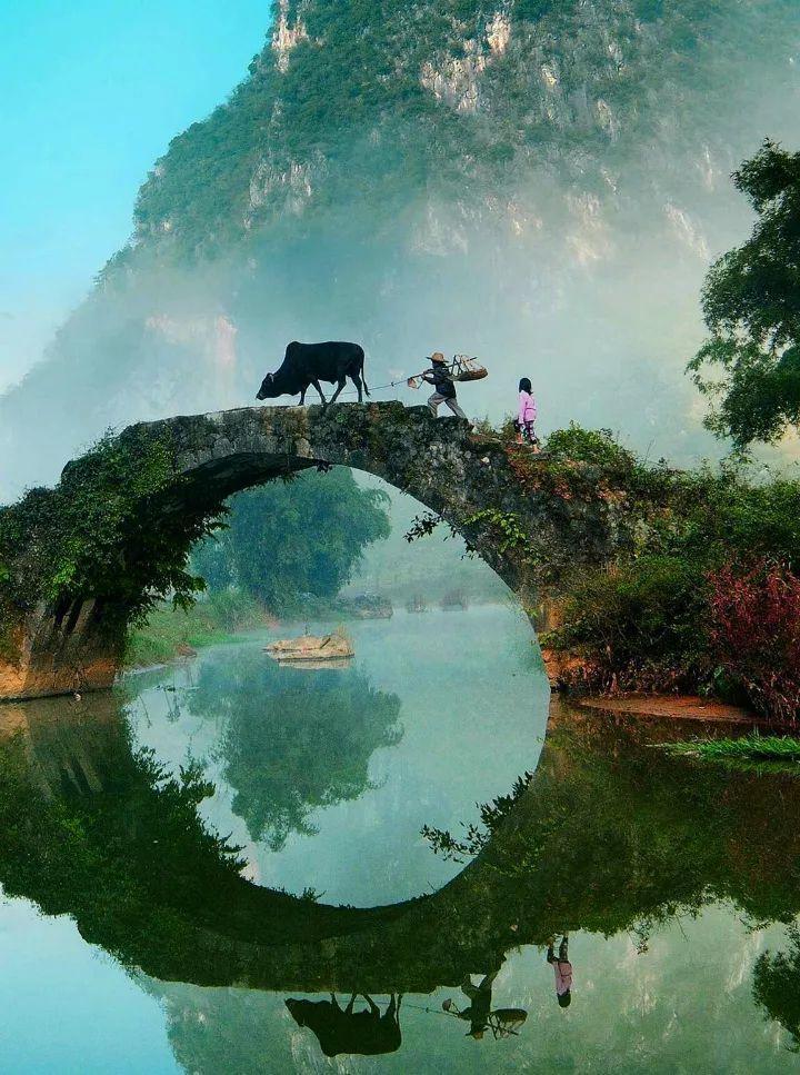 想要养花? 那就别再等, 不然留下的只有遗憾!