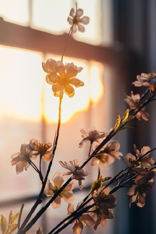 想不到有这么好的七句话, 留存!