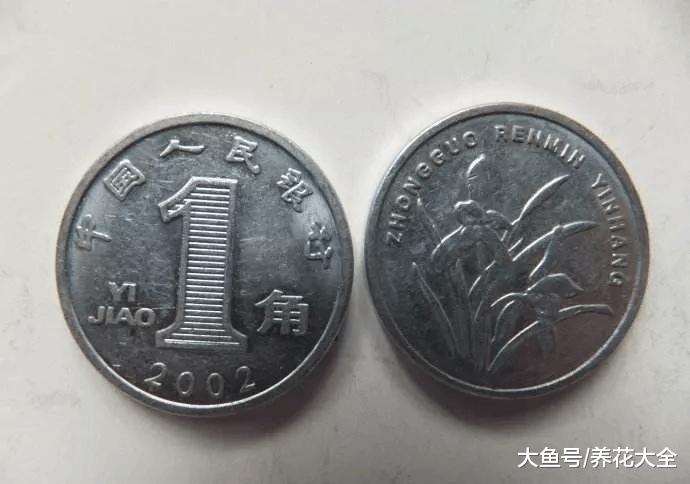 人民币上的花, 有钱人都在养, 现在养一盆还来得及-防爆波阀门