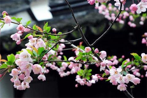 也许你体会不到这十句话的魅力