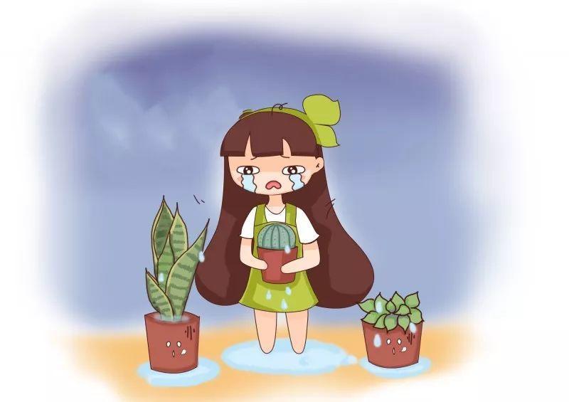 养花遇到下雨天, 漏了这一步, 叶子发霉还长斑!
