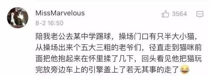 好人未必都是天使容貌, 天使里也不缺魔鬼