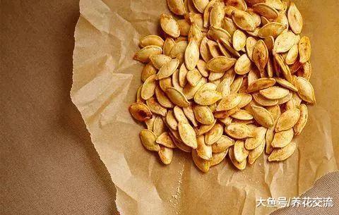 提高种子的发芽率, 你可以用到这6种存储技巧