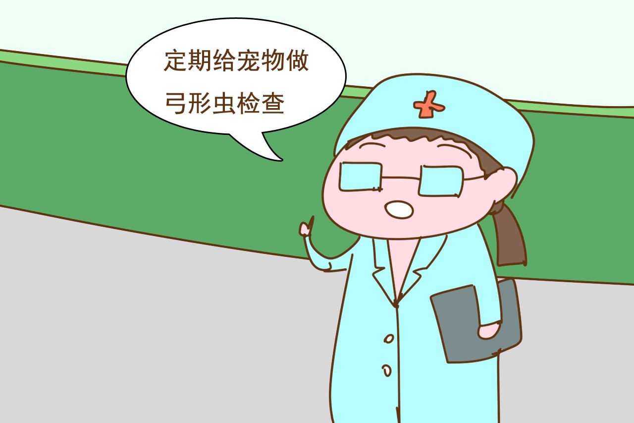 辟谣: 孕期养宠物会造成胎儿畸形? 伊能静挺着大肚子表示不服