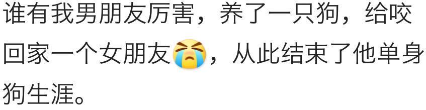找到对象的方式, 爱情来的太突然, 没有的可以学学